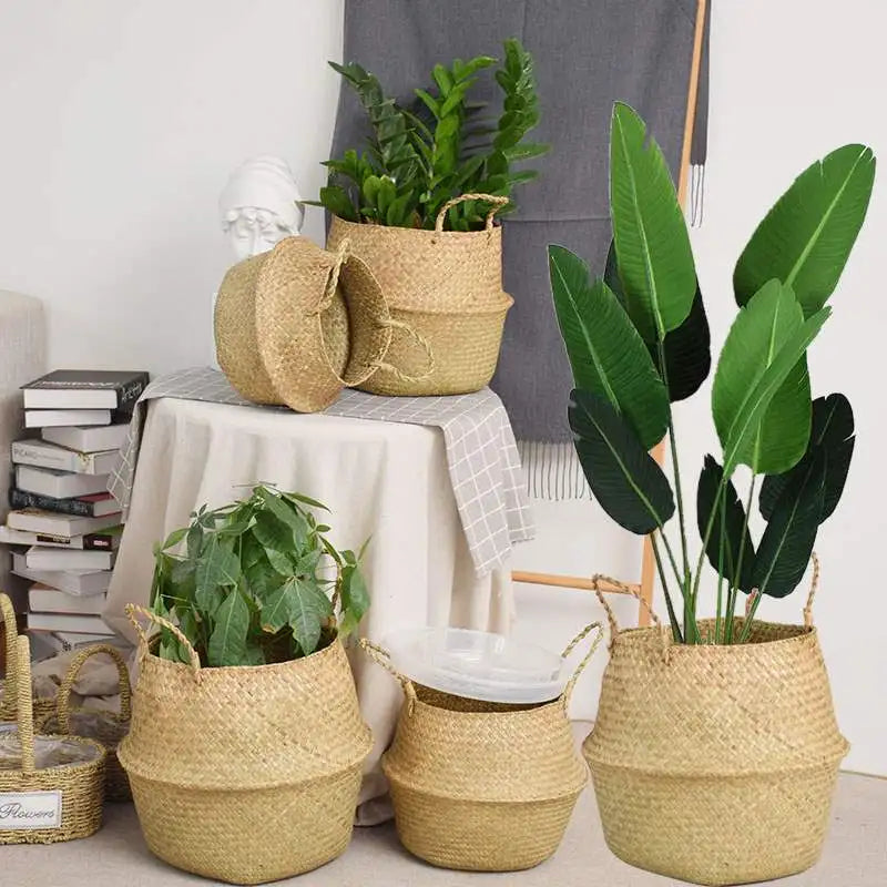 Seagrass Belly Basket with Handles