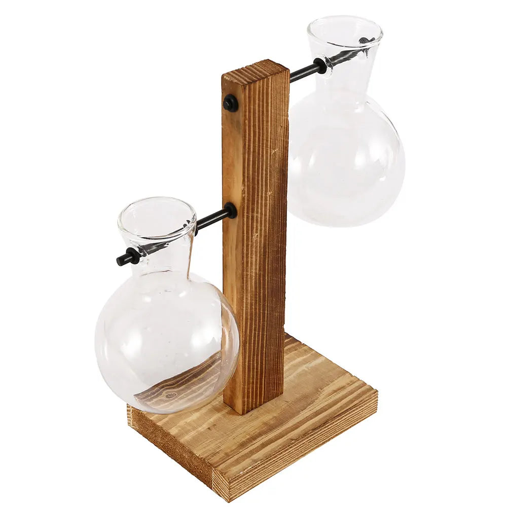 Two-Bulb Propagation Station – Glass Vases on Wooden Stand
