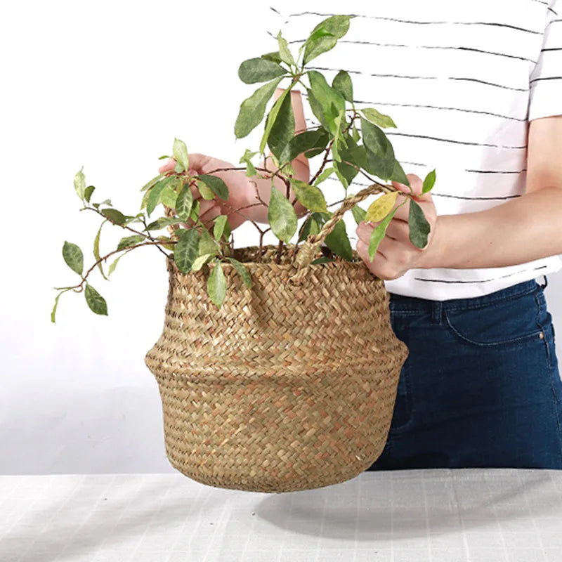 Seagrass Belly Basket with Handles