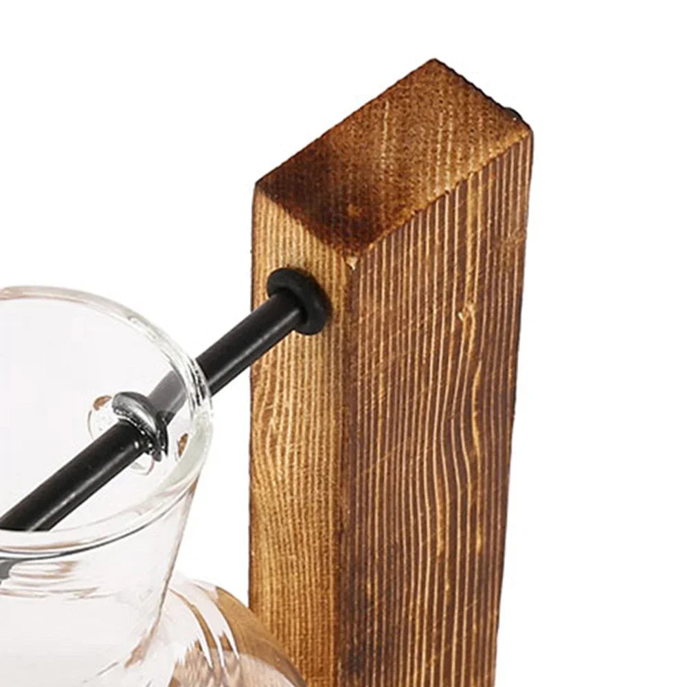 Two-Bulb Propagation Station – Glass Vases on Wooden Stand